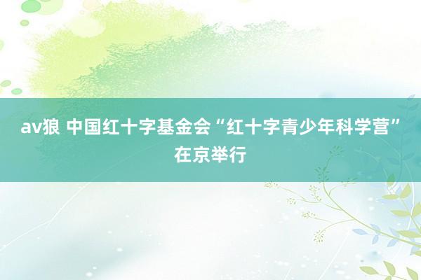 av狼 中国红十字基金会“红十字青少年科学营”在京举行