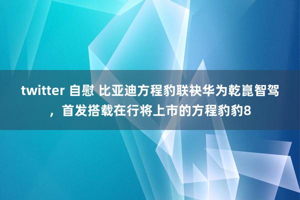 twitter 自慰 比亚迪方程豹联袂华为乾崑智驾，首发搭载在行将上市的方程豹豹8