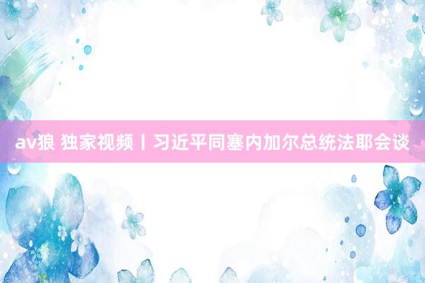 av狼 独家视频丨习近平同塞内加尔总统法耶会谈