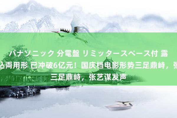 パナソニック 分電盤 リミッタースペース付 露出・半埋込両用形 已冲破6亿元！国庆档电影形势三足鼎峙，张艺谋发声