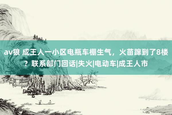 av狼 成王人一小区电瓶车棚生气，火苗蹿到了8楼？联系部门回话|失火|电动车|成王人市