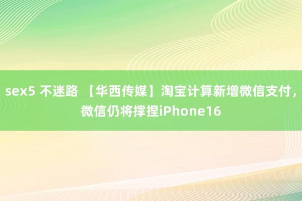 sex5 不迷路 【华西传媒】淘宝计算新增微信支付，微信仍将撑捏iPhone16