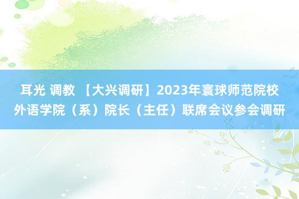 耳光 调教 【大兴调研】2023年寰球师范院校外语学院（系）院长（主任）联席会议参会调研