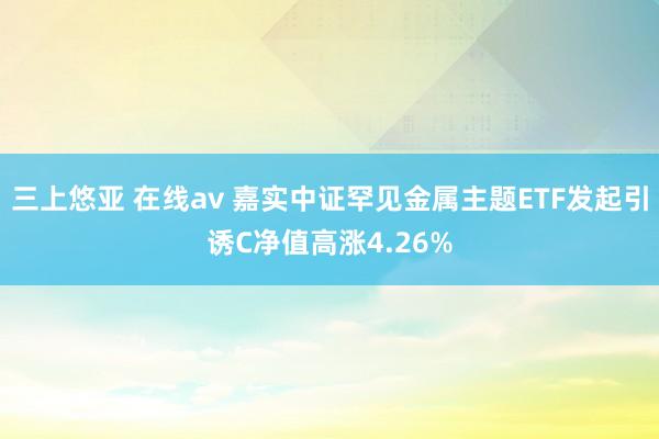 三上悠亚 在线av 嘉实中证罕见金属主题ETF发起引诱C净值高涨4.26%