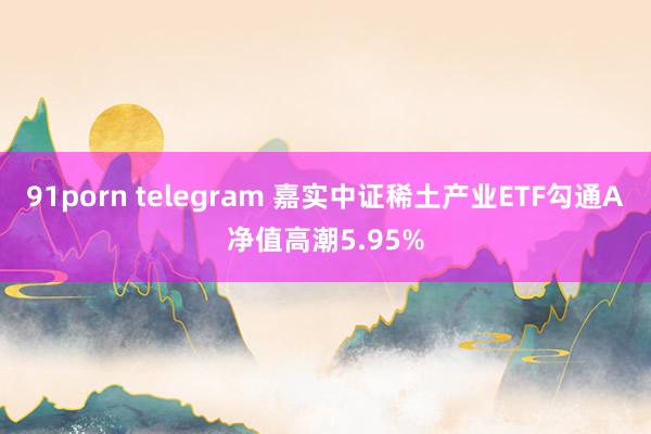 91porn telegram 嘉实中证稀土产业ETF勾通A净值高潮5.95%