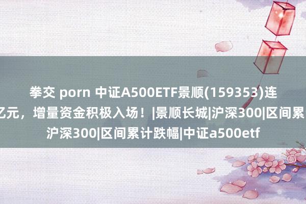 拳交 porn 中证A500ETF景顺(159353)连合13天净流入超50亿元，增量资金积极入场！|景顺长城|沪深300|区间累计跌幅|中证a500etf