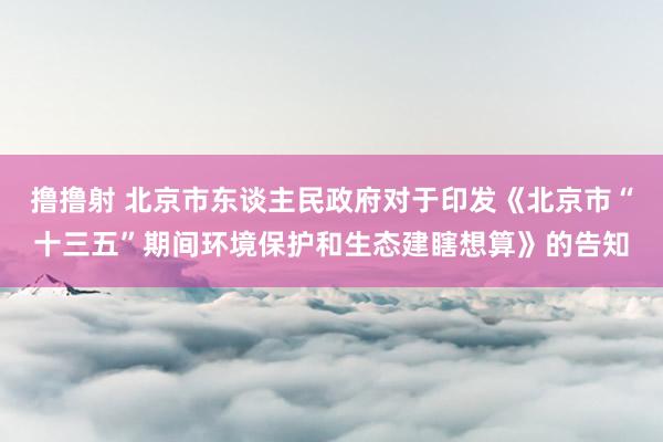 撸撸射 北京市东谈主民政府对于印发《北京市“十三五”期间环境保护和生态建瞎想算》的告知