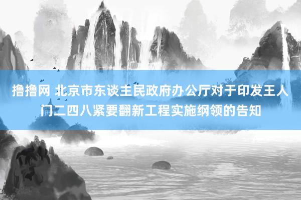 撸撸网 北京市东谈主民政府办公厅对于印发王人门二四八紧要翻新工程实施纲领的告知